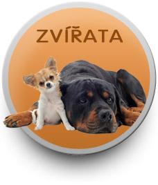 Program Zvířata